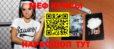 прущие грибы Кандалакша