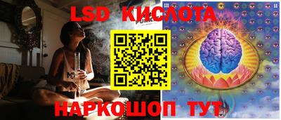 прущие грибы Камышлов