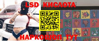 прущие грибы Кандалакша