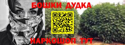 прущие грибы Кандалакша