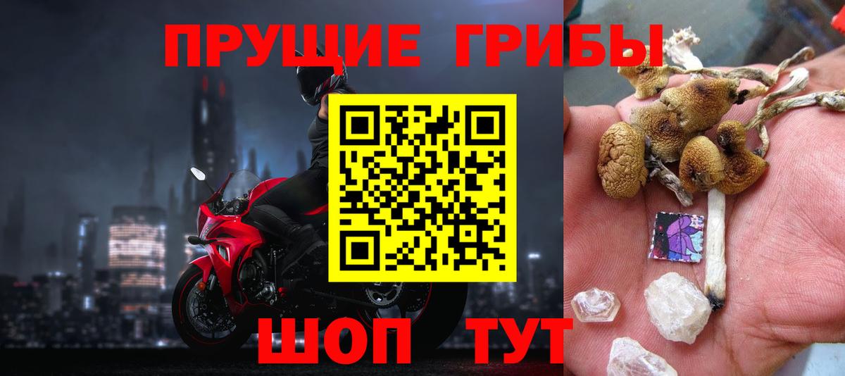 Лесной  Псилоцибиновые грибы ЛСД  цены наркотик  Вход с VPN  Галлюциногенные грибы GOLDEN TEACHER 